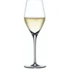 Spiegelau Authentis Champagneglas