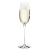 Holmegaard Fontaine Champagneglas