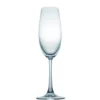 Rosenthal DiVino Flute Champagneglas